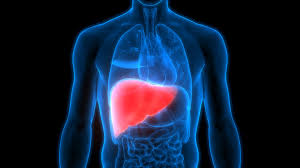 The Science Behind Cleansing Your Body Effectively