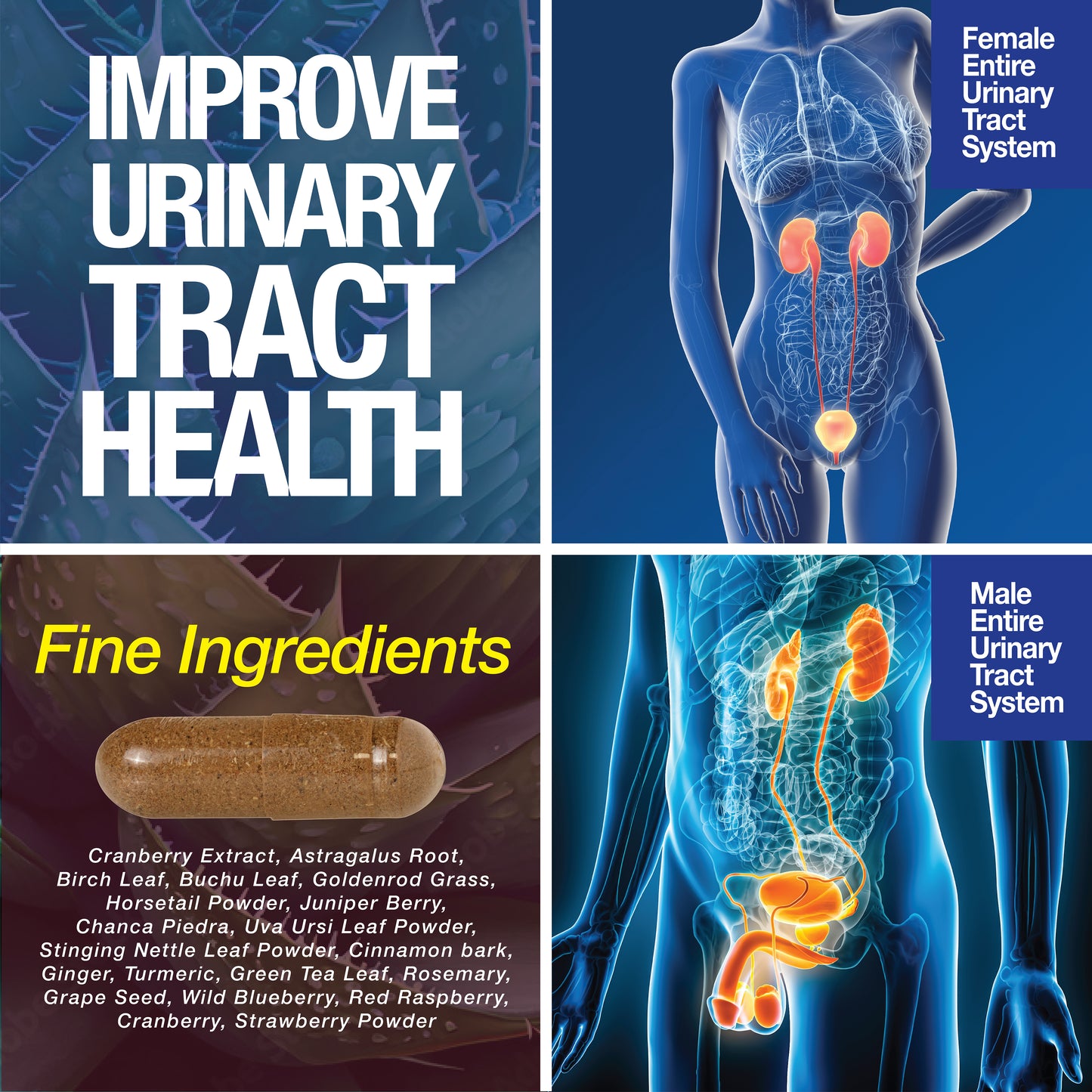 Kidney Support Cleanse Detox & Repair -120 Capsules - Cranberry & Astragalus Root Pills